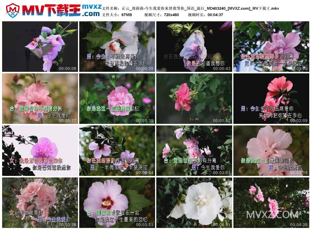 正云_郑莉莉-今生我爱你来世我等你_国语_流行_MD403240